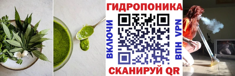 Купить закладки  Великий Устюг  Печенье с ТГК марихуана 