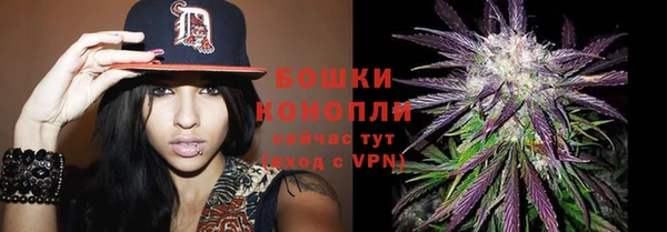 СК Киренск