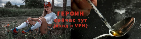твердый Козельск