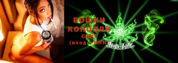 твердый Козельск