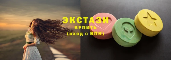 твердый Козельск