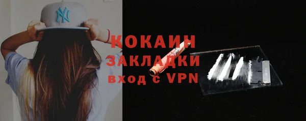 твердый Козельск