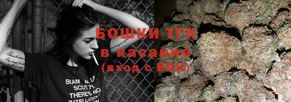 твердый Козельск