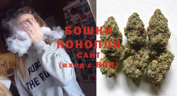 твердый Козельск